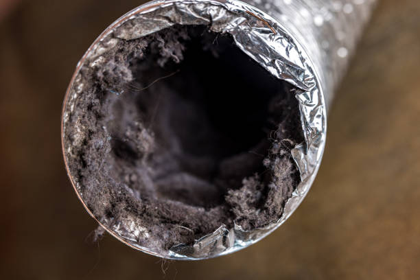Best Air Duct Mold Removal  in Hanover, OH