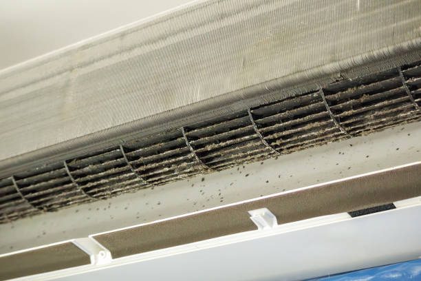 Best Air Duct Sanitizing Services  in Hanover, OH